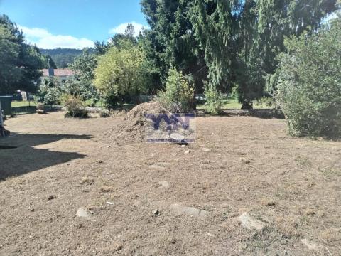 Jardín