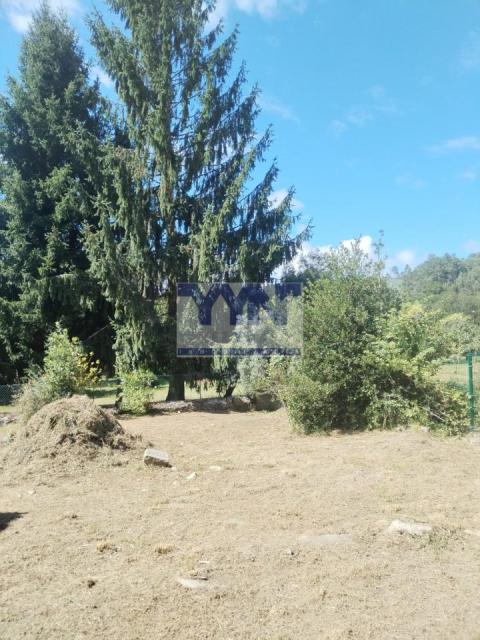 Jardín